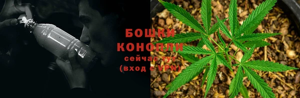 ECSTASY Алзамай