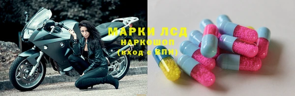 ECSTASY Алзамай
