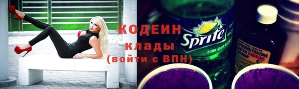 дурь Алексин