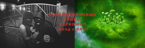 дурь Алексин