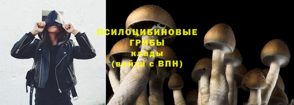 ECSTASY Алзамай