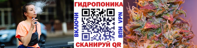 Марихуана гибрид Лаишево